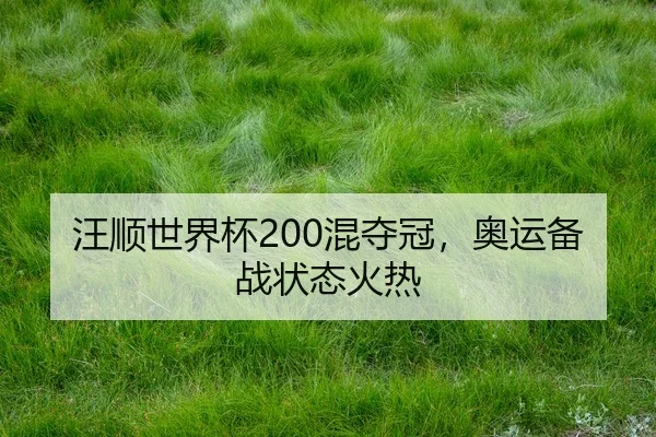 wang-shun-shi-jie-bei-hun-duo-guan-ao-yun-bei-zhan-zhuang-tai-huo-re-2-268.jpg